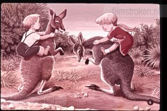 Pluk en Plok bij de Kangoeroes