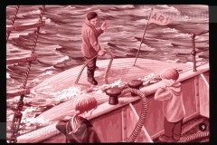 Pluk en Plok op de Walvisvangst