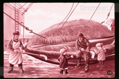 Pluk en Plok op de Walvisvangst