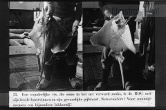 Haringvisserij te Scheveningen en Vlaardingen