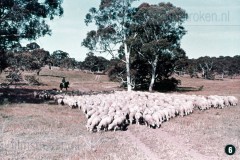 Australië 1 - Geschiedenis en Bestaansmiddelen