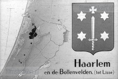 Haarlem en de Bollenvelden