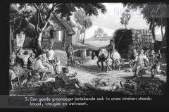 Van Tarwe tot Brood