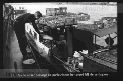 Van Tarwe tot Brood