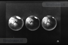 Het Zonnestelsel