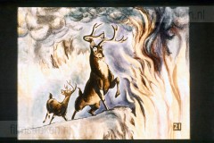Bambi