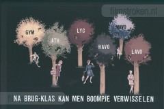 De Mammoetwet