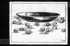 In de Soete Suikerbol IV