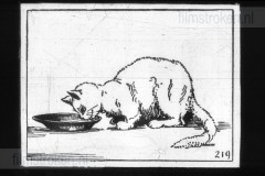 In de Soete Suikerbol IV