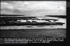 Friesland I
