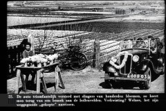 Haarlem en de Bollenvelden