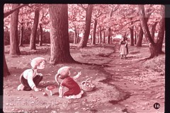 Hoe Pluk en Plok aan hun Naam kwamen