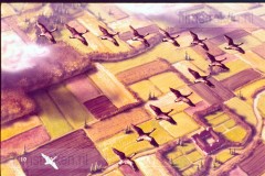 Niels Holgersson's Wonderbare Reis Deel I