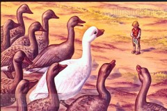 Niels Holgersson's Wonderbare Reis Deel I Niels Holgersson's Wonderbare Reis Deel I