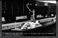 Noord Holland II