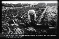Noord-Brabant I