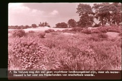 Gelderland