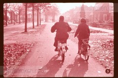 Fouten in het Verkeer