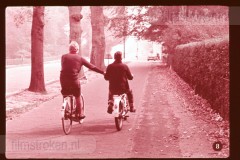 Fouten in het Verkeer