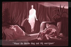 De Bijbel in Beeld 24