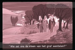 De Bijbel in Beeld 24