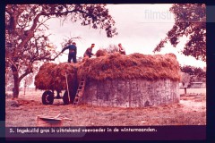 Laag-Nederland II