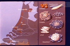 Laag-Nederland II