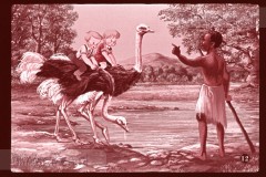 Pluk en Plok in Afrika I