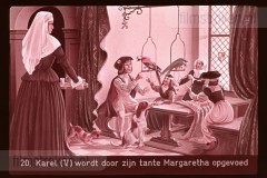 Het Oostenrijkse Huis