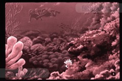 Pluk en Plok onder Water