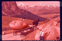 Pluk en Plok in Zwitserland II