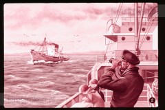 Pluk en Plok op de Walvisvangst