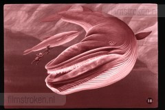 Pluk en Plok op de Walvisvangst