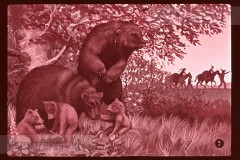 Pluk en Plok bij de Indianen II