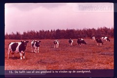 Hoog-Nederland