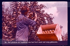 Hoog-Nederland  Hoog-Nederland