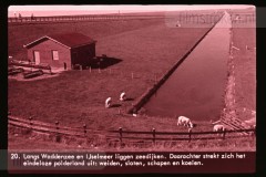 Friesland