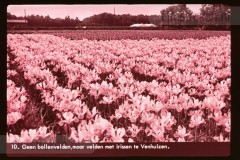 Noord-Holland