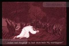 De Bijbel in Beeld 21