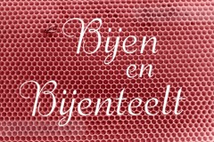 Bijen en Bijenteelt