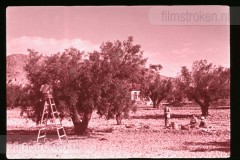 Langs de Middellandse Zee