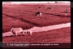 Laag-Nederland I