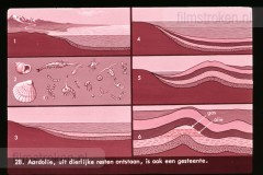 Europa: De Grond, Waarop Wij Wonen