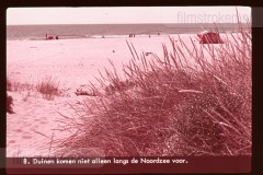 Europa: Hoog en Laag