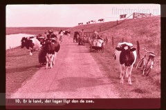 Europa: Hoog en Laag