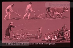 Europa: Landbouw en Veeteelt