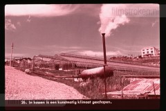 Europa: Landbouw en Veeteelt