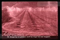 Europa: Landbouw en Veeteelt