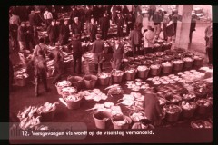 Europa: Visserij en Jacht Europa: Visserij en Jacht