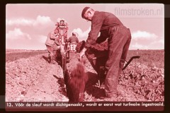 Onze Twaalfde Provincie II